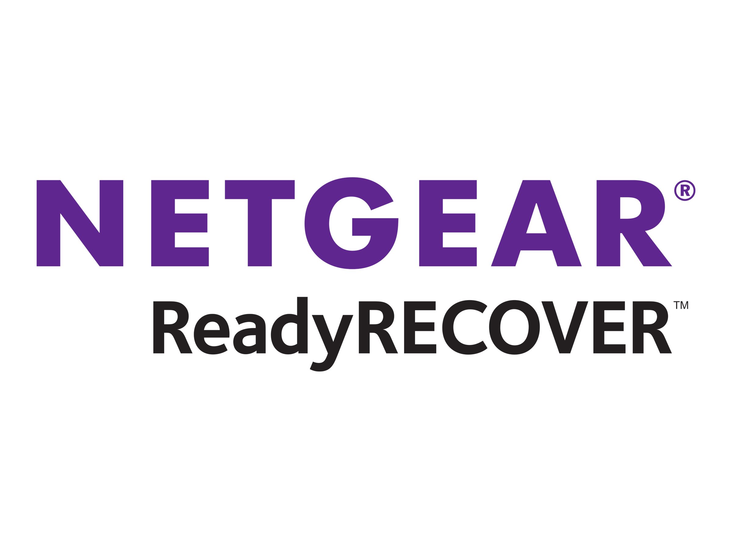 Netgear ReadyRECOVER – Lizenz – 1 virtueller Server