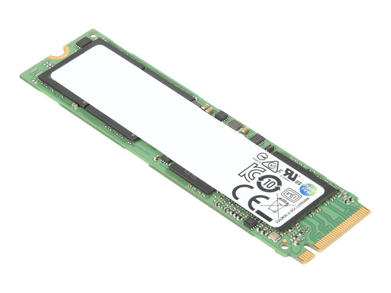 Lenovo SSD – verschlüsselt – 1 TB – intern