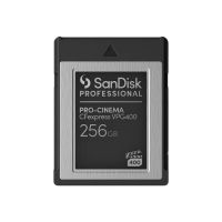 SANDISK PROFESSIONAL SanDisk - Flash-Speicherkarte - 256 GB - CFexpress Typ B