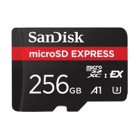 SanDisk Express - Flash-Speicherkarte - 256 GB