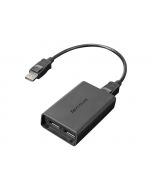 Lenovo DisplayPort-Adapter - DisplayPort (M)