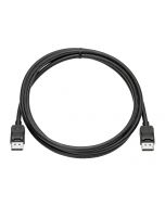 HP  DisplayPort-Kabel - DisplayPort (M) zu DisplayPort (M)