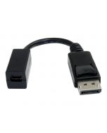 StarTech.com 15cm DisplayPort auf Mini DisplayPort Adapter - 1 x DP (20 pin)