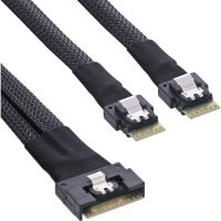 InLine Slim SAS Kabel, SFF-8654 8i zu 2x SFF-8654 4i, 1m, 1 m, SFF-8654 8i, 2x SFF-8654 4i, Gerade, Gerade, 24 Gbit/s