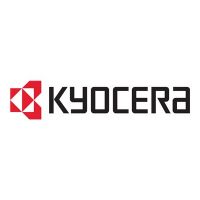 Kyocera MD3-1024 (c) - Memory - Modul - 1 GB